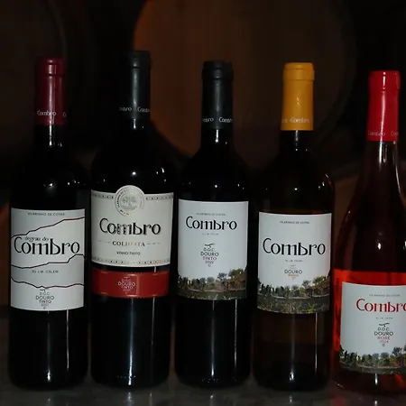Gasthof Casa De Vilarinho *